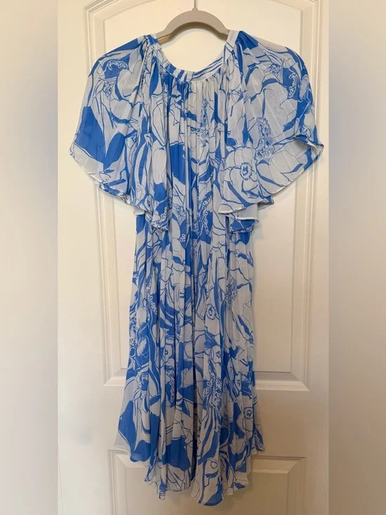 Anthropologie Blue & White Floral Button-Front Dress - Picture 2 of 5